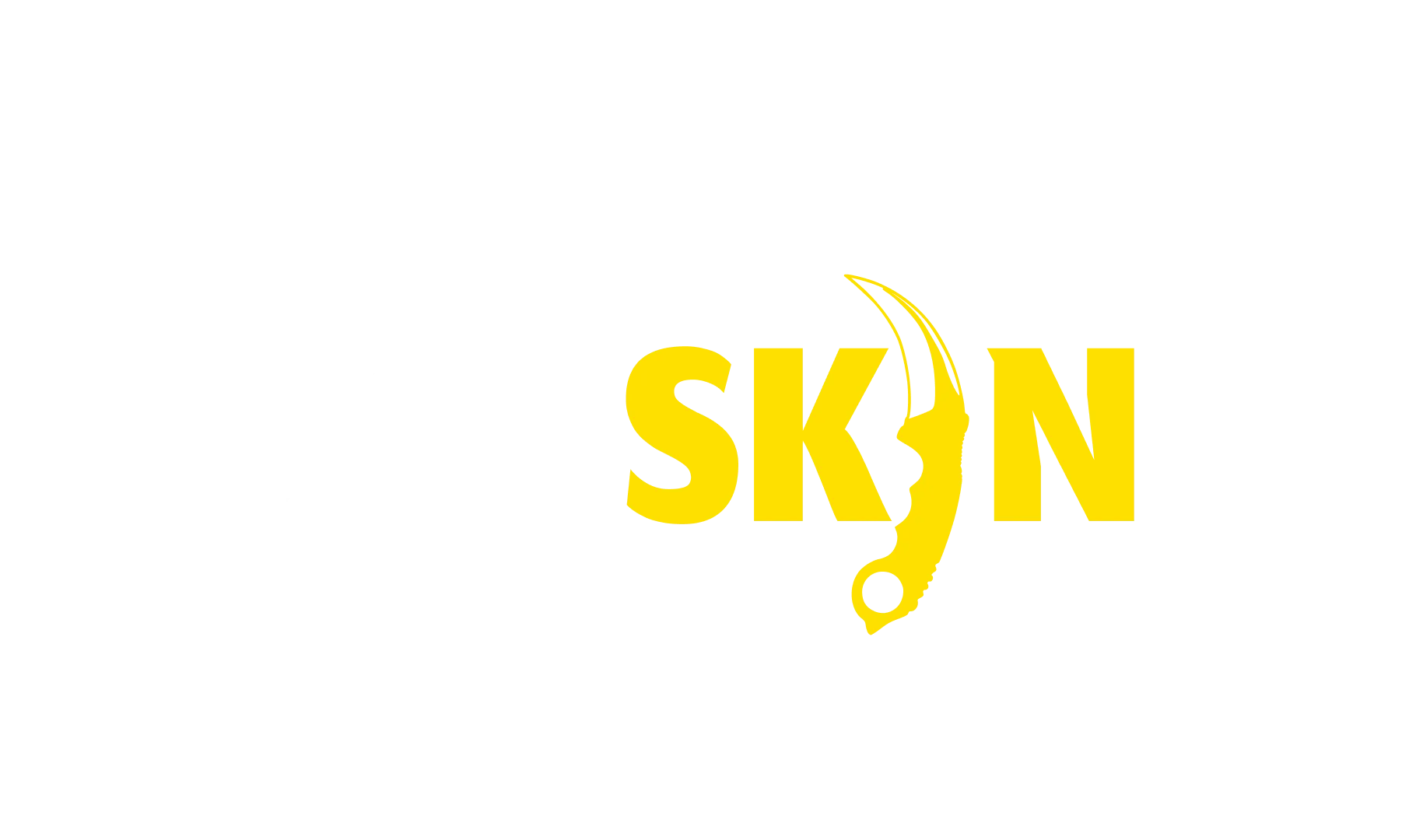 csgo skin site